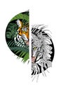 Tiger in the jungle, print for clothing design